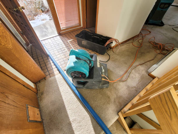 Best Flood restoration services  in Scappoose, OR
